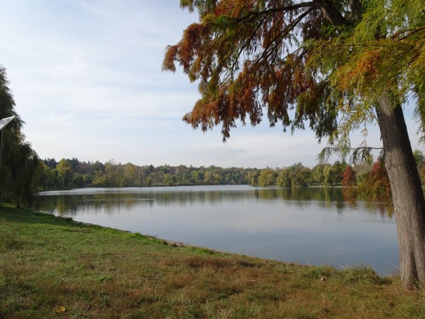  - Parcul Tineretului nov2019