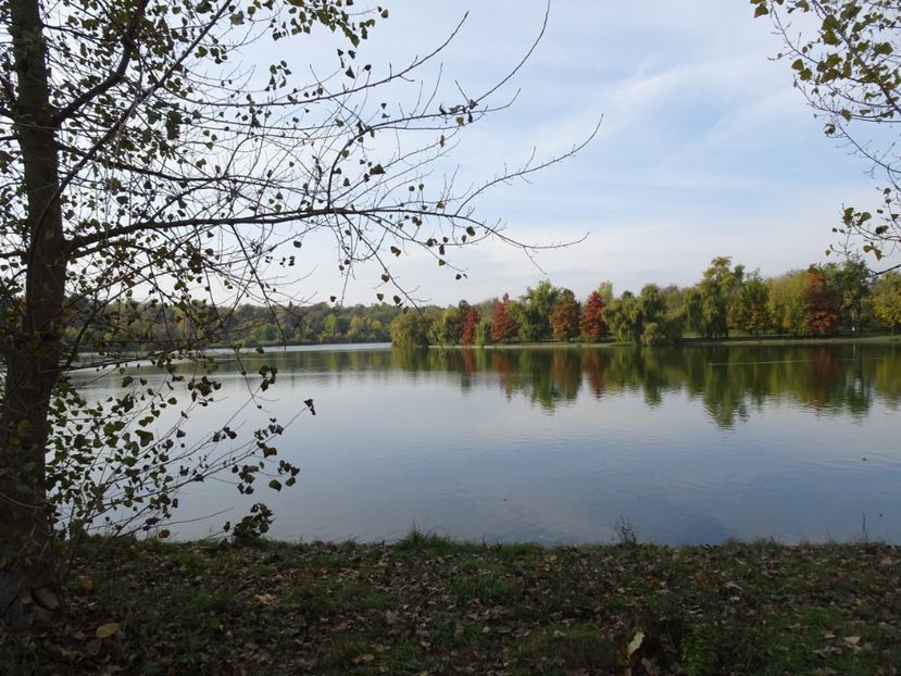  - Parcul Tineretului nov2019