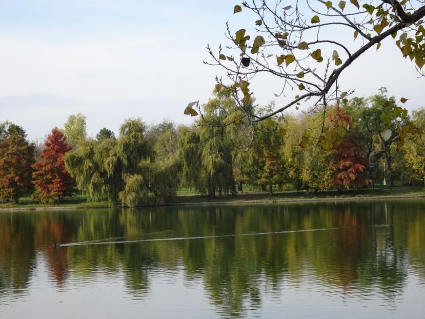  - Parcul Tineretului nov2019