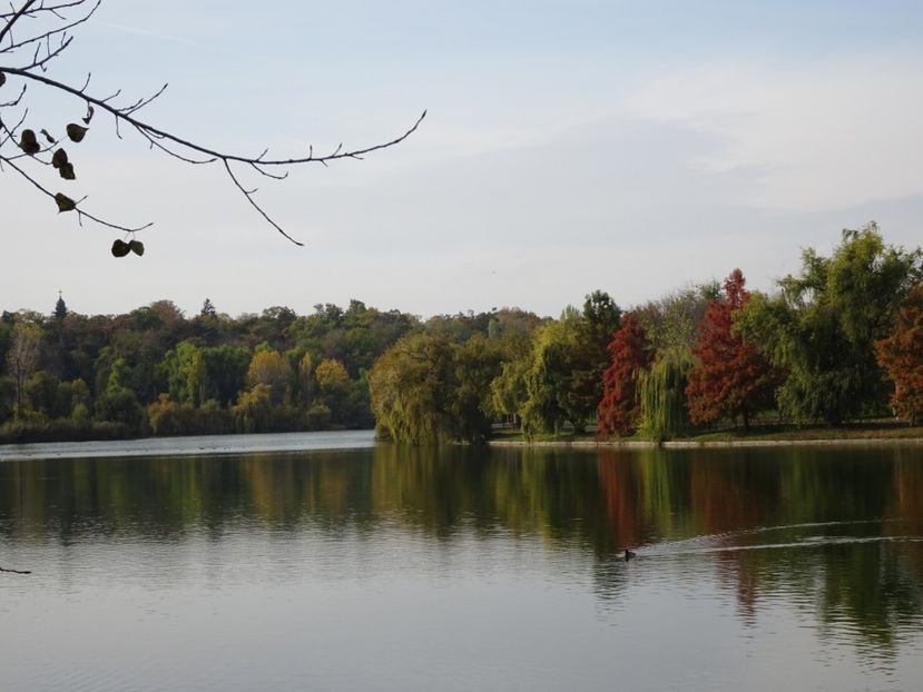  - Parcul Tineretului nov2019