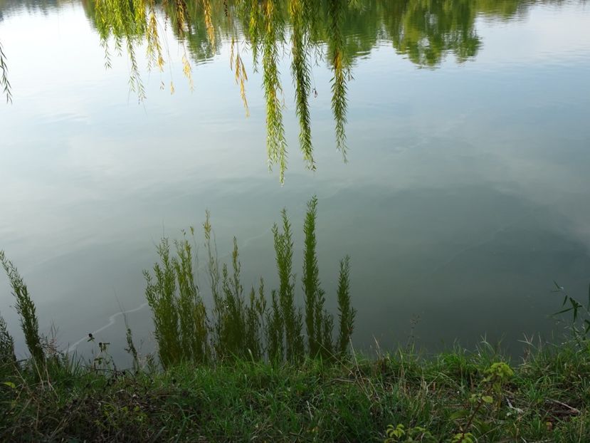  - Parcul Tineretului nov2019