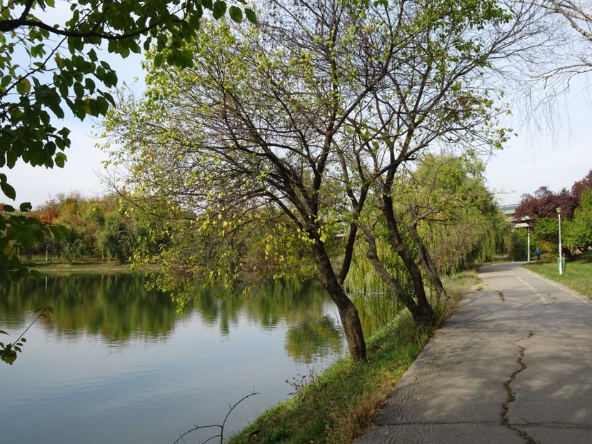  - Parcul Tineretului nov2019