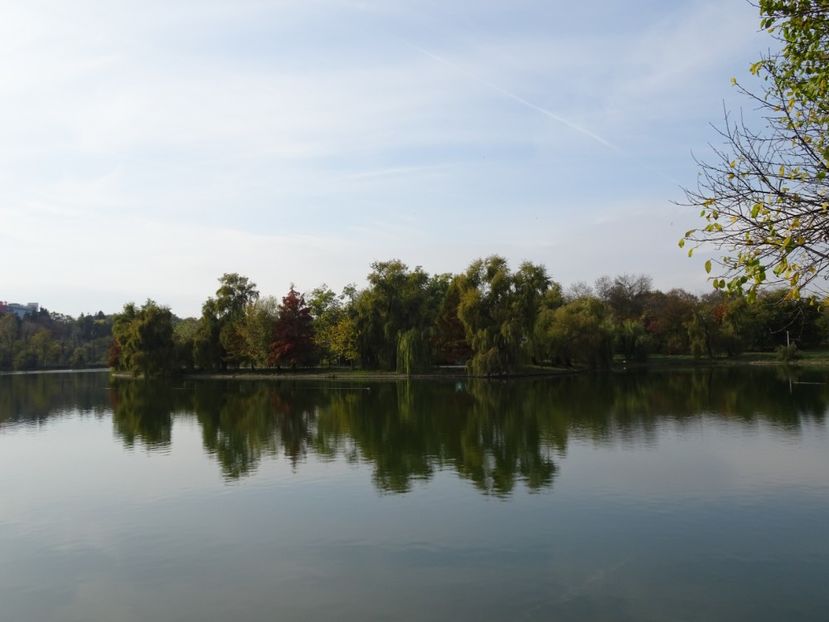  - Parcul Tineretului nov2019