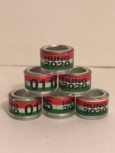 A934BE17-92D1-435D-9E74-A6C282366D4D - 00 Inele Porumbei 2020 Hungaria Derby 7-8-9-10-11 mm