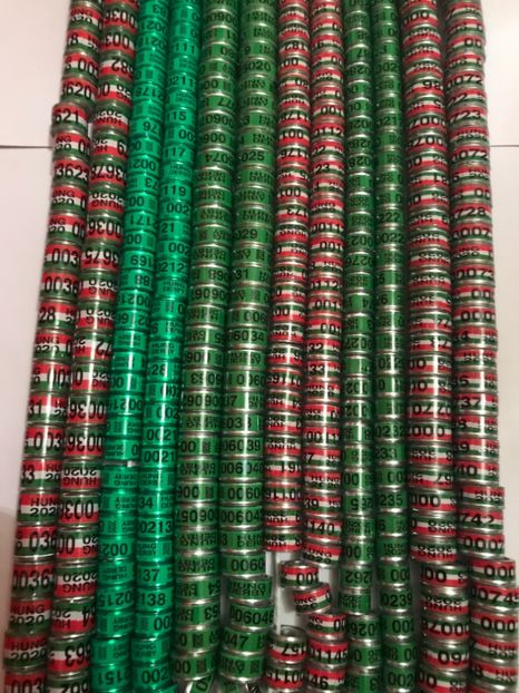 C35133D7-D86C-4DDE-90A5-4B96A4E50C11 - 00 Inele Porumbei 2020 Hungaria Derby 7-8-9-10-11 mm