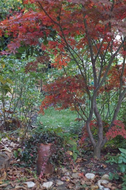  - Noiembrie 2019- noiembrie 2020