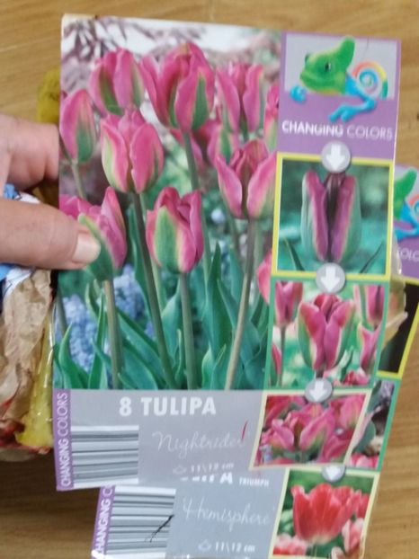  - Achizitii toamna 2019