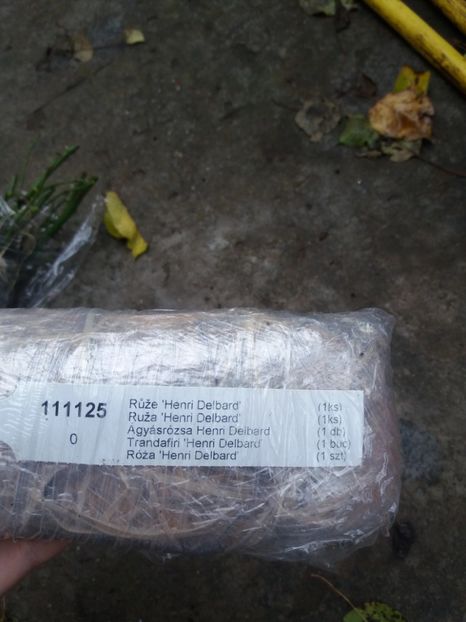  - Achizitii toamna 2019