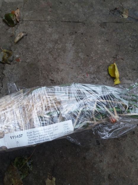  - Achizitii toamna 2019