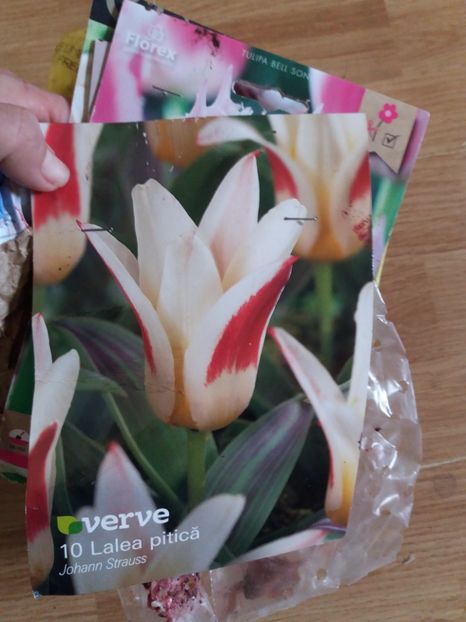  - Achizitii toamna 2019