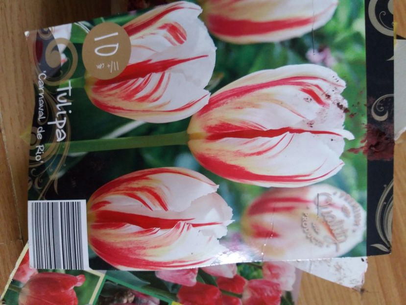  - Achizitii toamna 2019