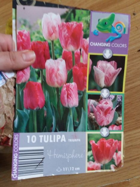  - Achizitii toamna 2019