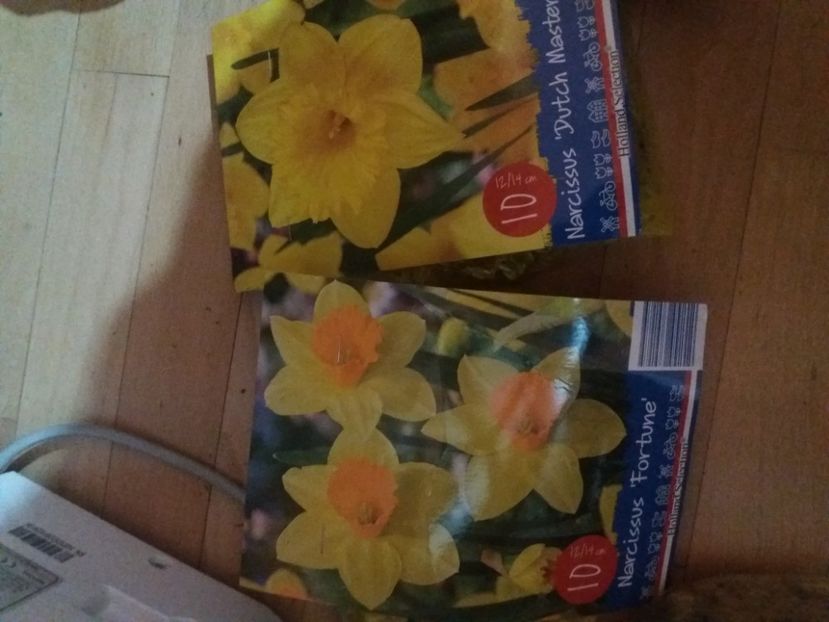  - Achizitii toamna 2019