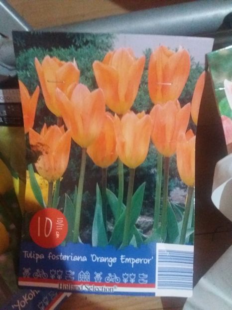  - Achizitii toamna 2019