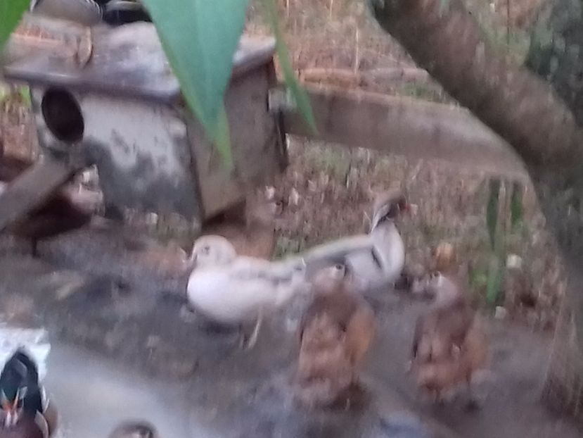  - VAND 2019 tel0766362976