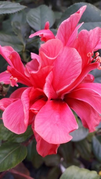  - Talmeș balmeș 2019