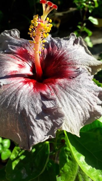  - Talmeș balmeș 2019