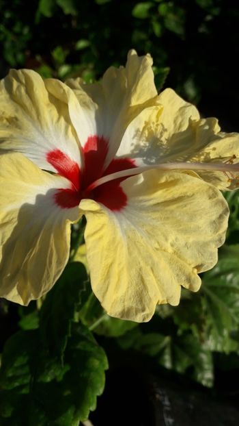  - Talmeș balmeș 2019