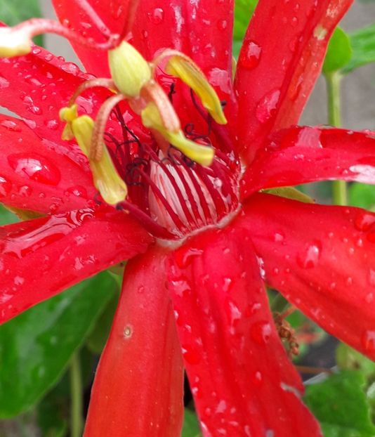  - Talmeș balmeș 2019