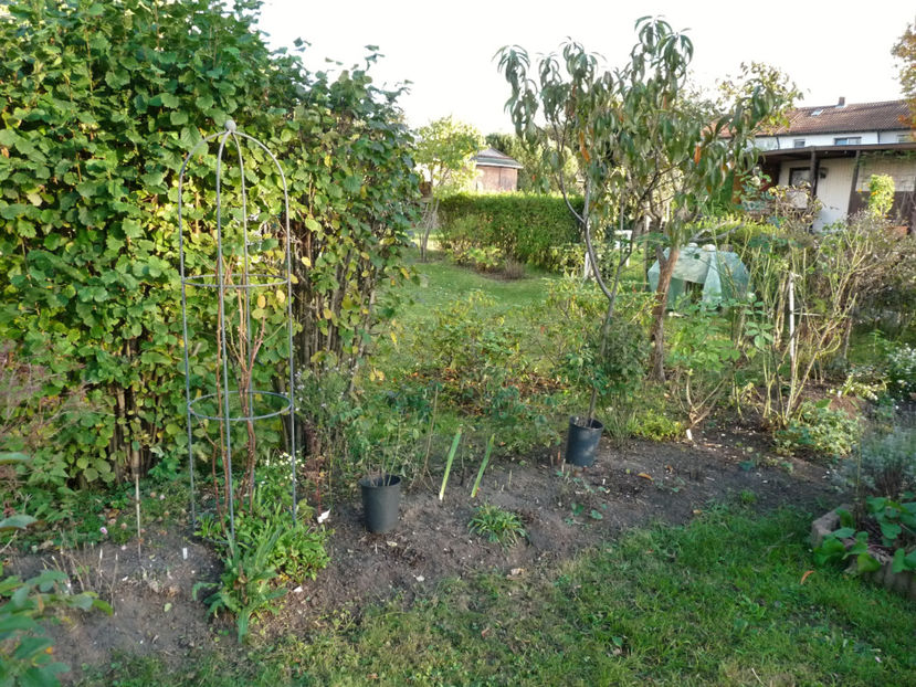  - 2019 - 03 - Toamna