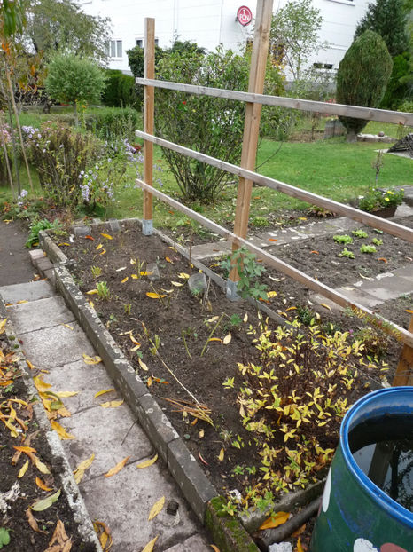  - 2019 - 03 - Toamna