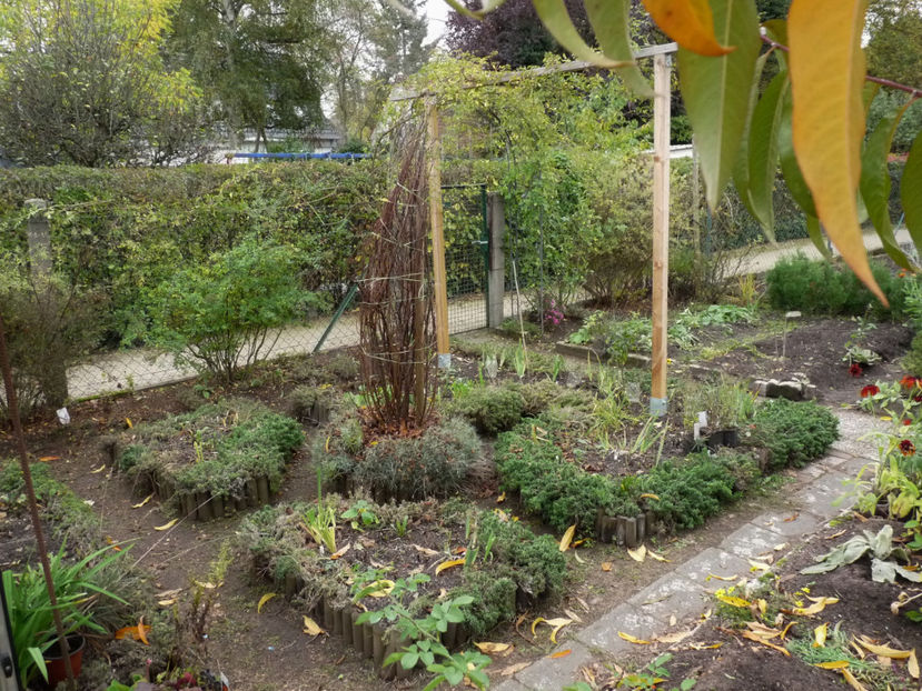  - 2019 - 03 - Toamna