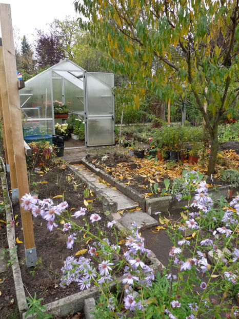  - 2019 - 03 - Toamna