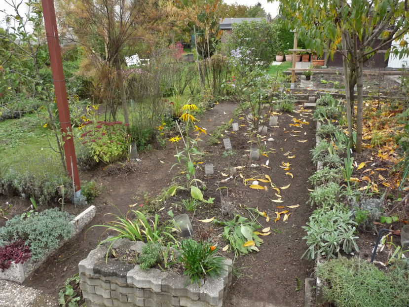  - 2019 - 03 - Toamna