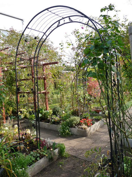  - 2019 - 03 - Toamna