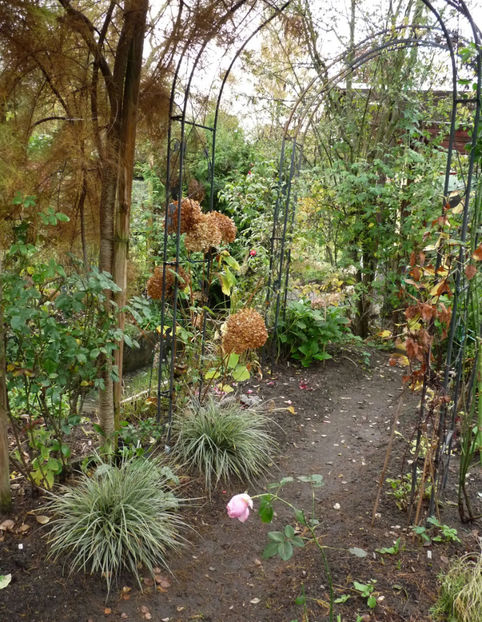  - 2019 - 03 - Toamna