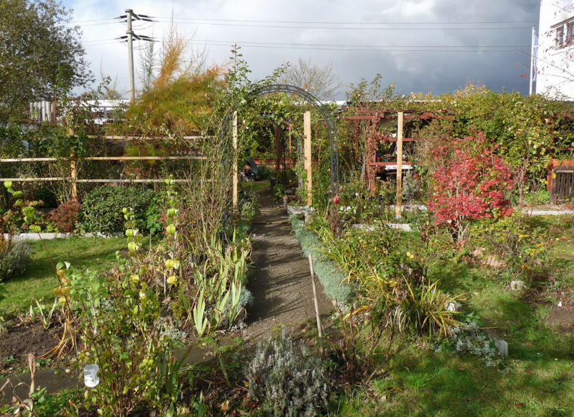  - 2019 - 03 - Toamna