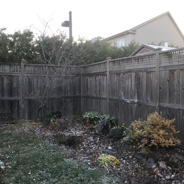  - Jurnalul gradinii 2019