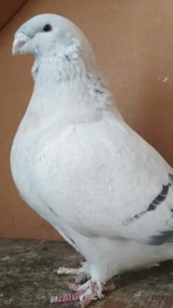 received_2425651701014798 - EU SI DESPRE MINE