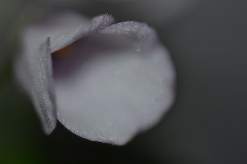  - Macro 06112019
