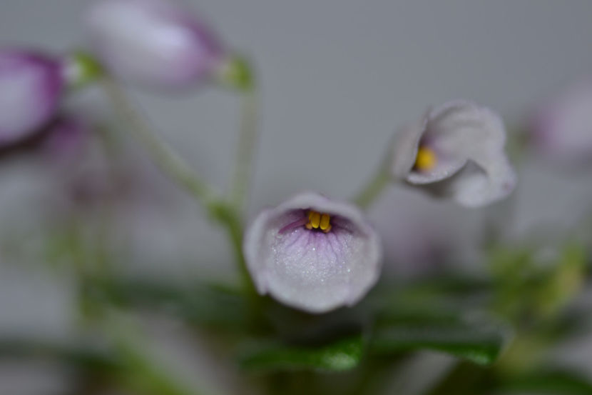  - Macro 06112019