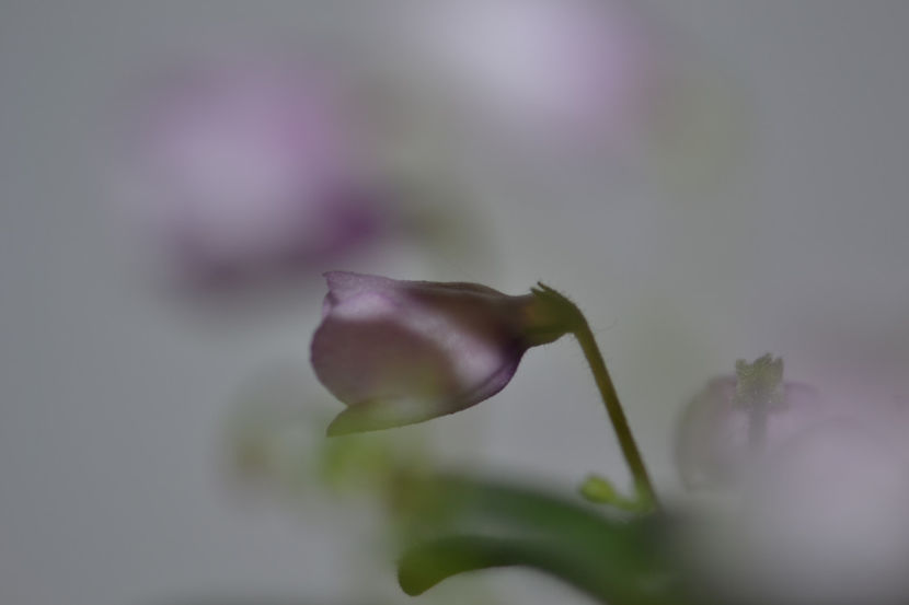  - Macro 06112019