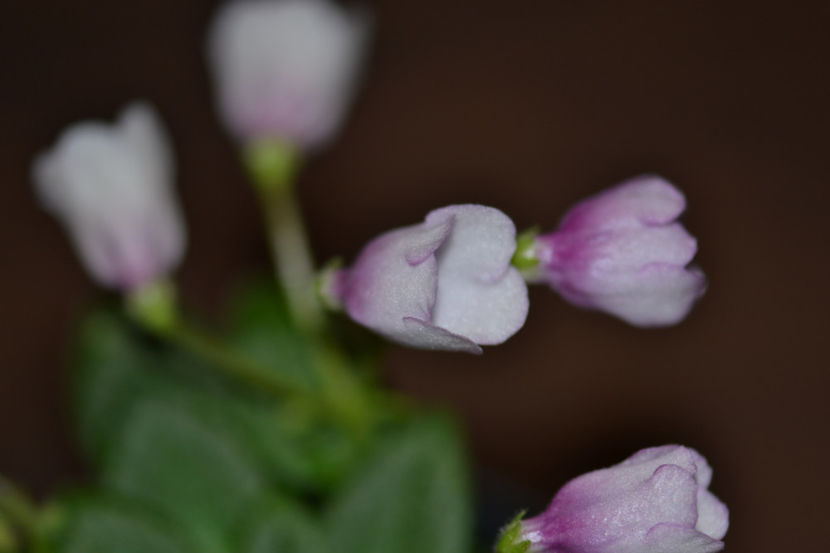  - Macro 06112019