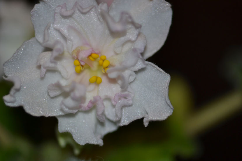  - Macro 06112019