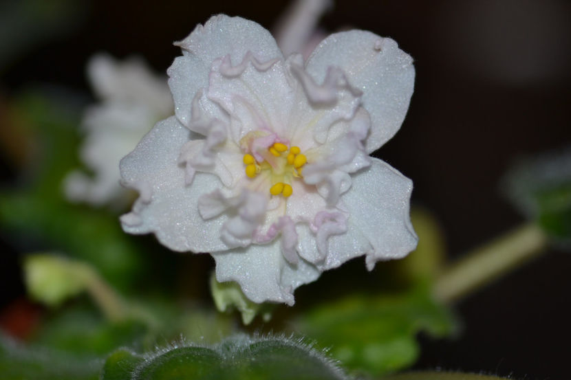  - Macro 06112019