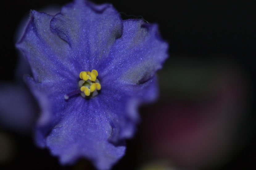  - Macro 06112019