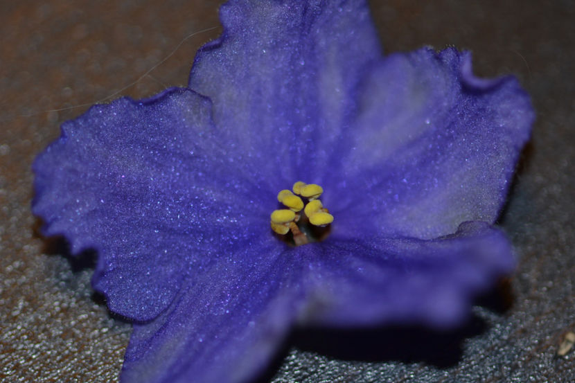  - Macro 06112019