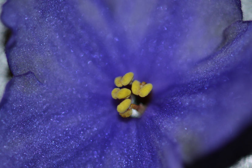  - Macro 06112019