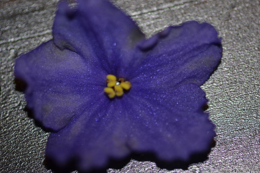  - Macro 06112019