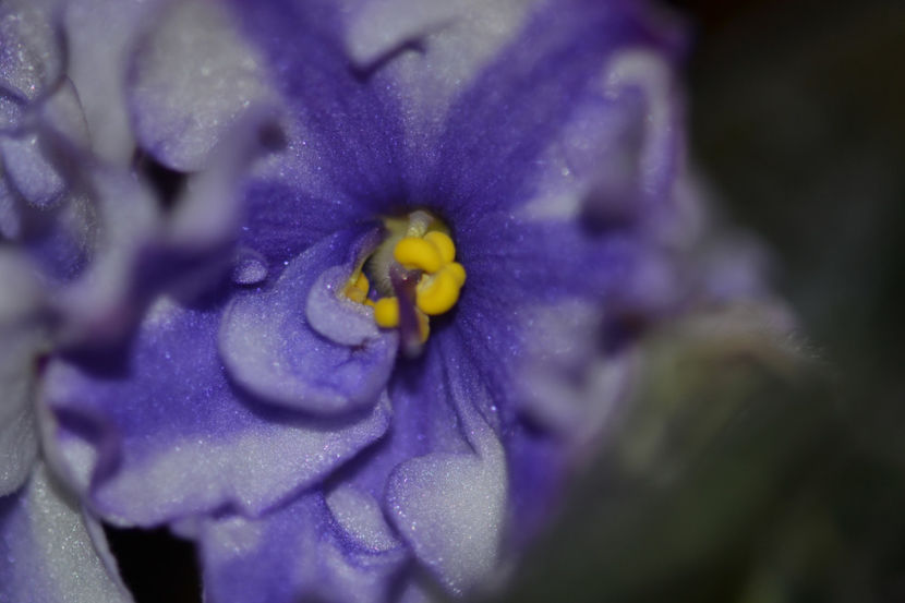  - Macro 06112019