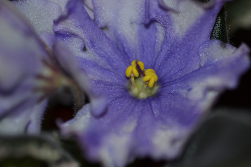  - Macro 06112019