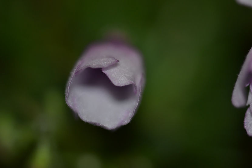  - Macro 06112019