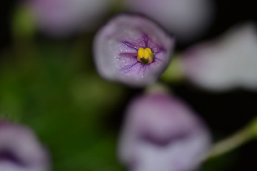  - Macro 06112019