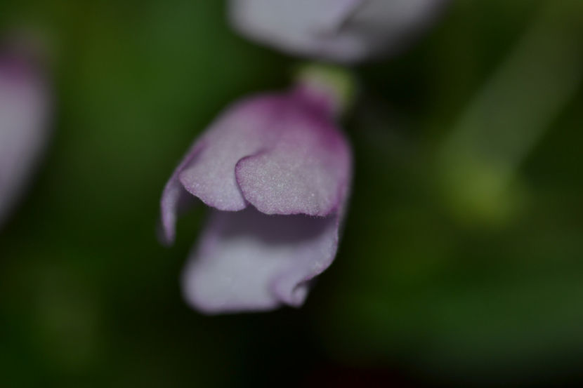  - Macro 06112019