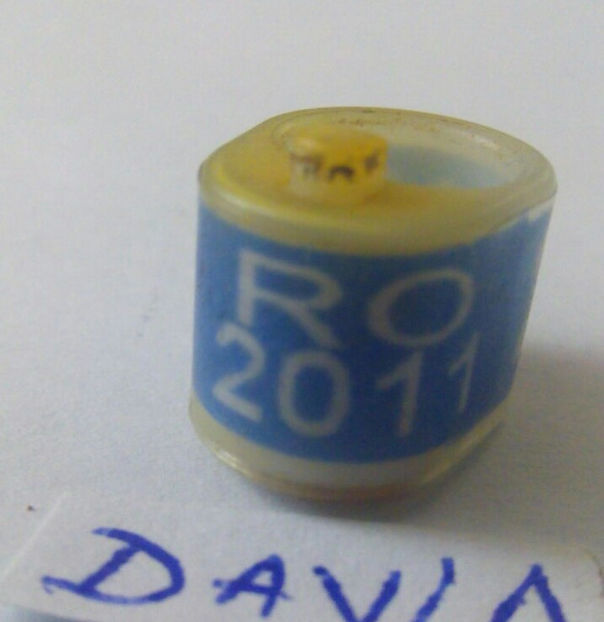 Romania-2011 - Romania