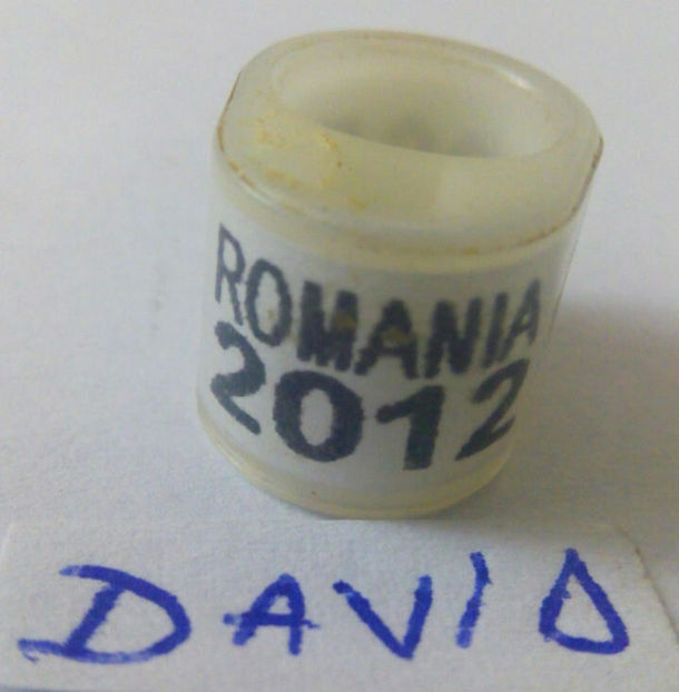 Romania-2012 - Romania